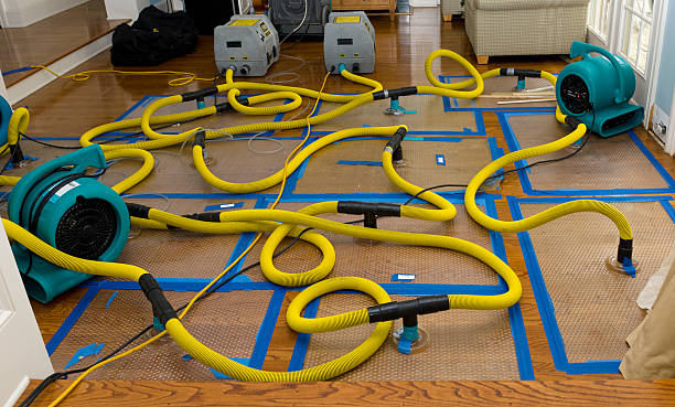 Professional Water Extraction technician working in Sandwich, IL